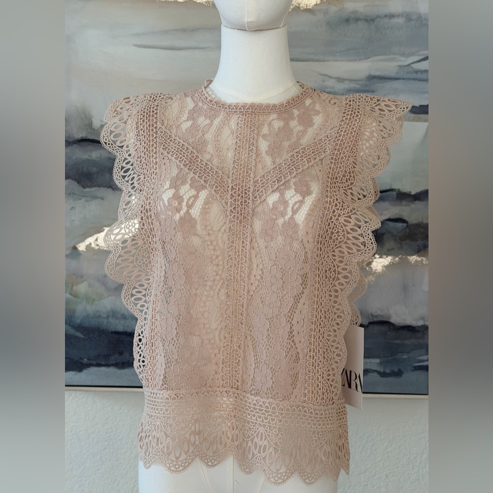 NWT Zara Lace Ruffle Blouse -  Blush Pink
